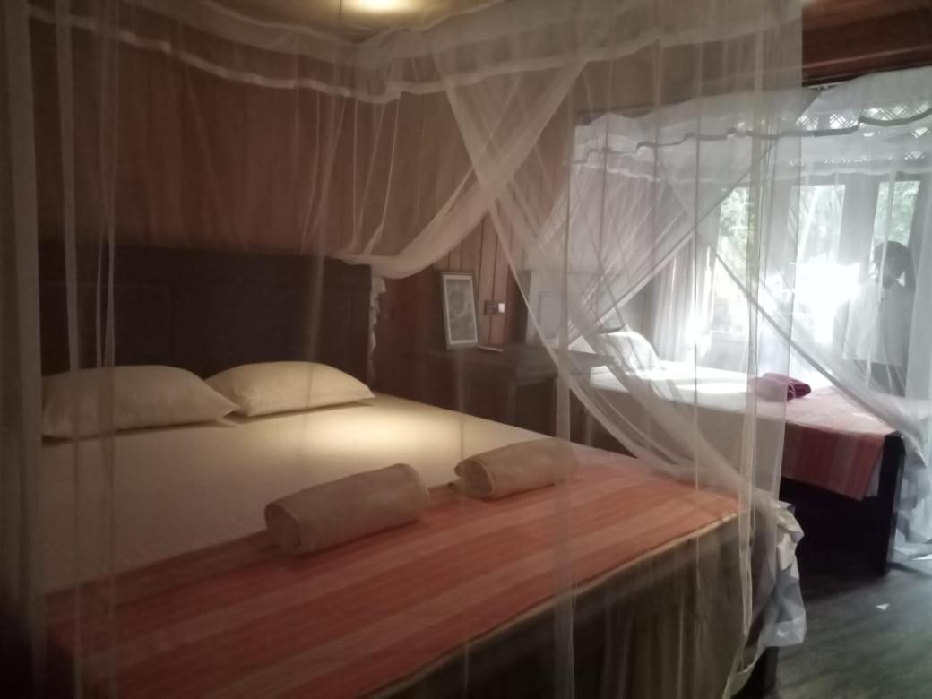 Гостевой дом Piumi House Диквелла Экстерьер фото